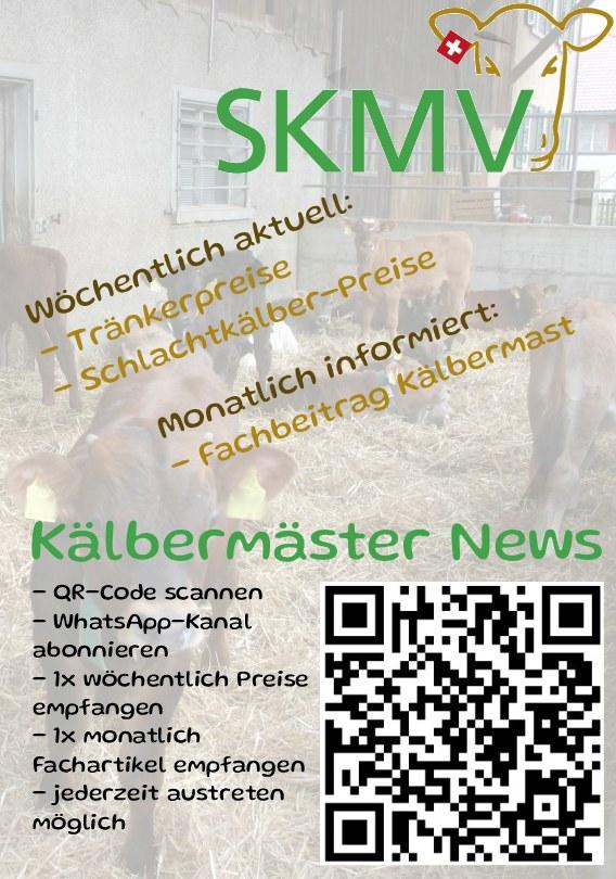 Immer Up to date mit dem WhatsApp-Kanal